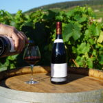 dégustation vin - appellation Fixin - Bourgogne