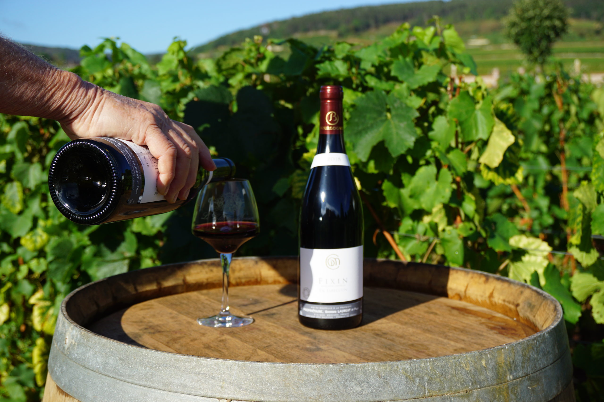 dégustation vin - appellation Fixin - Bourgogne